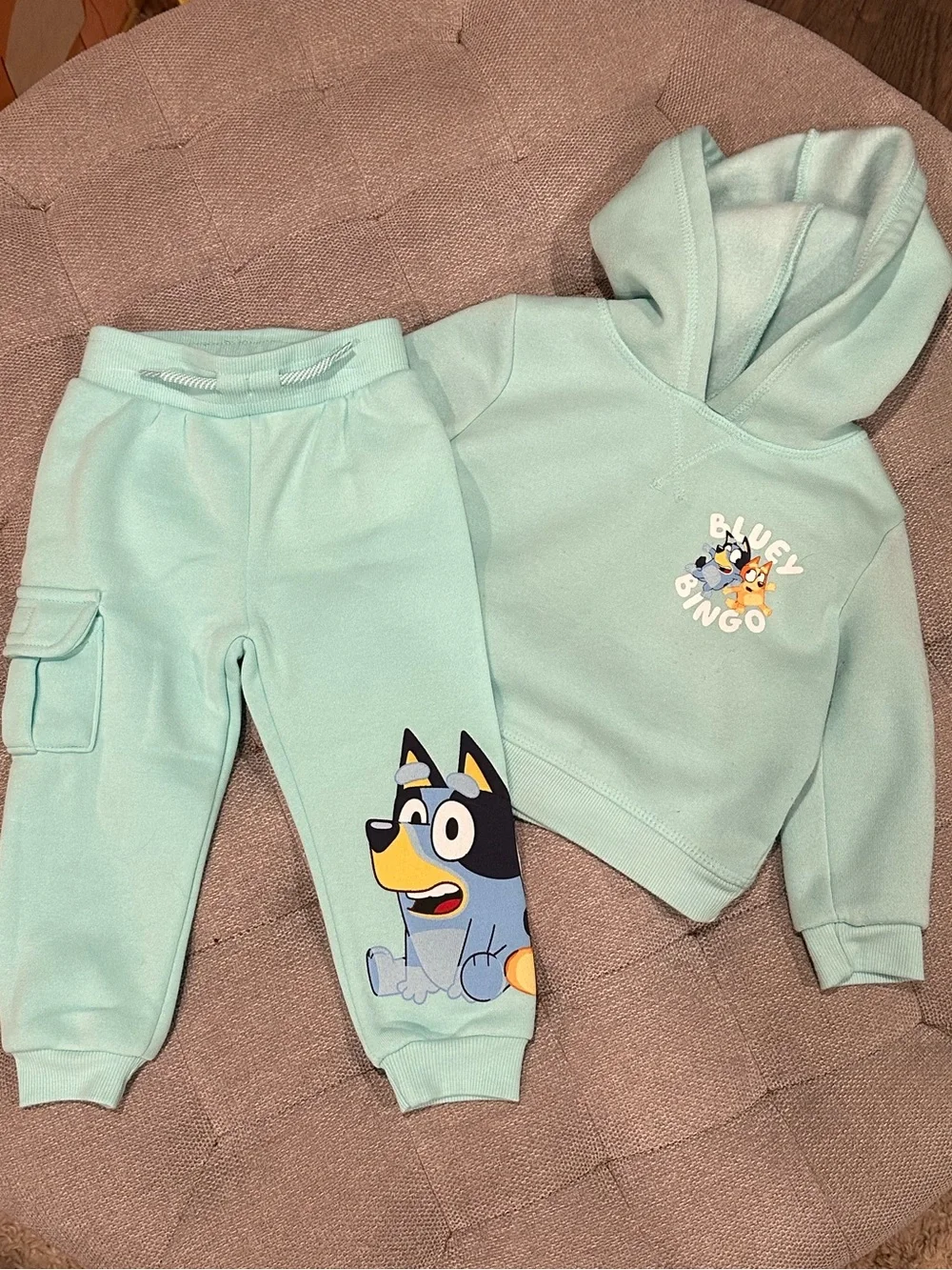 Bluey & Bingo Teal Hoodie and Jogger Set